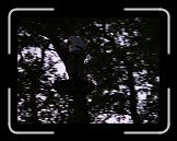 equinox76 (62) * 1632 x 1224 * (1023KB)